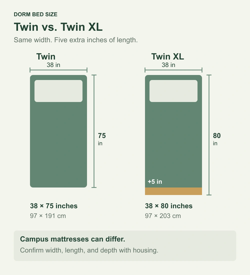 Dorm bed size diagram comparing a 38 by 75 inch Twin with a 38 by 80 inch Twin XL, highlighting the extra 5 inches of length.