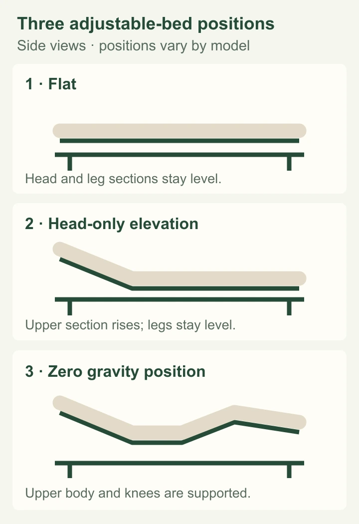 Side-view comparison of flat, head-only, and zero gravity adjustable bed positions